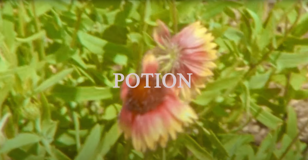 Potion Surf Video | Luke Worsham